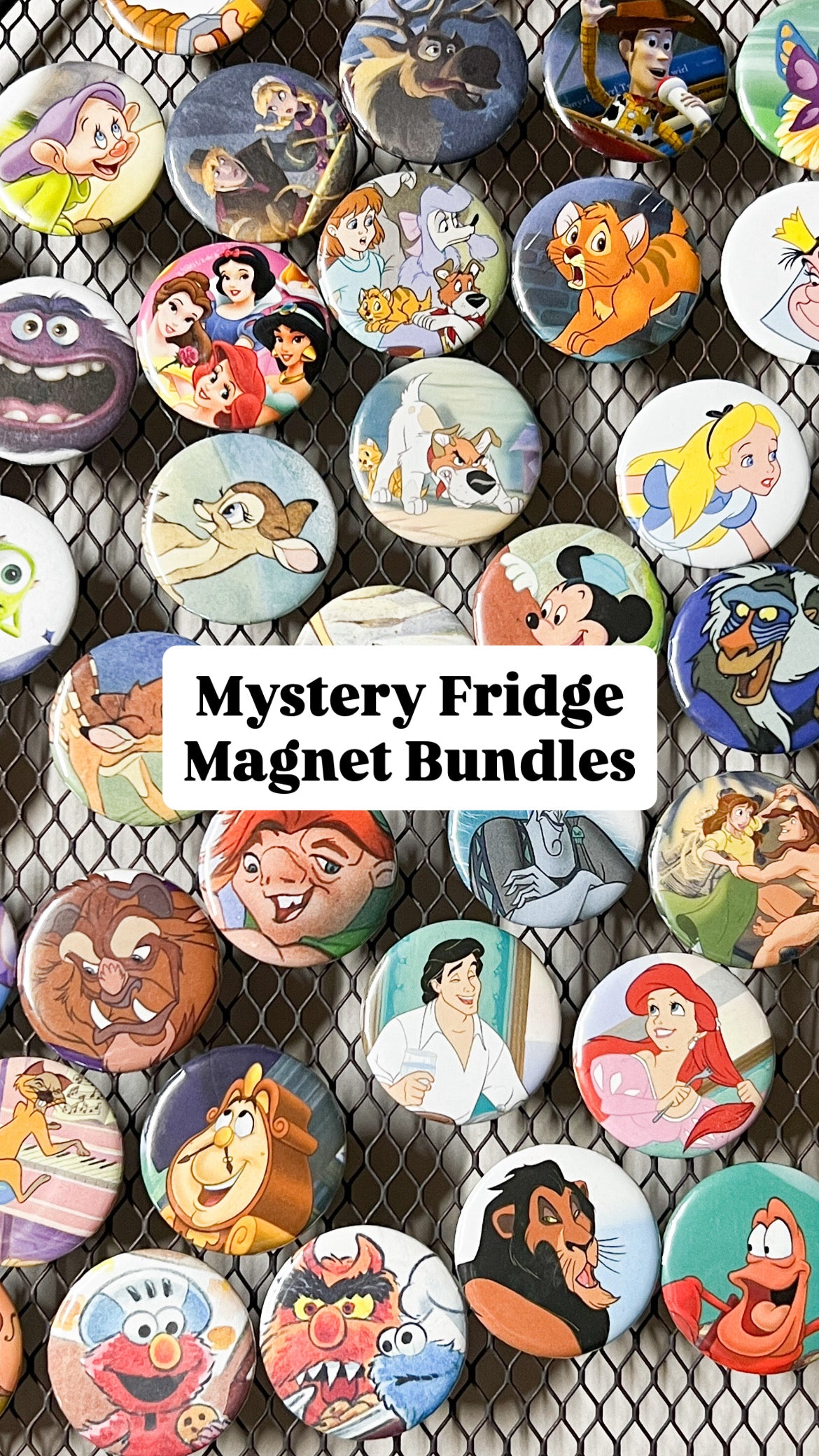 Mystery Fridge Magnet Packs ♻️✨
